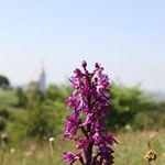 Ann Cantrell - @chdann45 - Instagram
