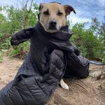 Ann Cantrell - @anniecannie - Instagram