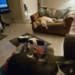 Mary Ann Cantrell Bay - @cantrellbay - Instagram