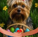 Ann Carolan - Facebook