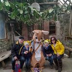 Ann Marie Carolan - Facebook