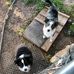 Ann Carrell - Facebook