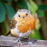 Carron Ann - @carronann_photography - Instagram