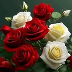 Anna Casale - Facebook