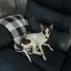 anniecasco2 - @annie.casco0 - TikTok
