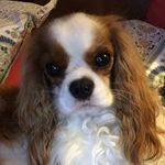 Ann Caskey - @acaskey53 - Instagram