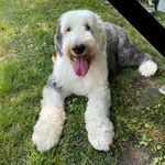 Ann Marie Casper - @anniecasper1 - Instagram
