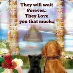 Ann Cassell - @mda72 - Instagram