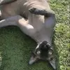 Ann_castello🐈‍⬛ - @anncastillo215 - TikTok