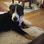 Ann Caster - @anncaster1 - Instagram