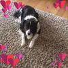 Ann Caster - @anncaster - TikTok
