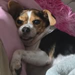 Lee Ann Cathcart Gilmer - @leeanncathcartgilmer - Instagram