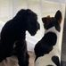 Ann Caton - Facebook