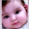 Ann Catt - @ann.catt - TikTok