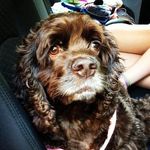 Ann Bumbera Caulfield - @anniec6 - Instagram