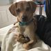 Ann Caulfield - Facebook