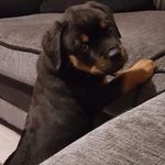 Ann Caulfield - @anncaulfield33 - Instagram
