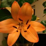 Ann Caulfield - @motivationalwaves - Instagram