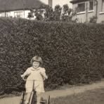 Ann Cavanagh - Facebook