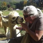 Ann Cavanaugh - @akccavanaugh - Instagram