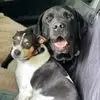 Ann M Cavanaugh - @ann.m.cavanaugh - TikTok