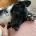 Ann Cave - Facebook