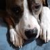 Anne Cavender - Facebook