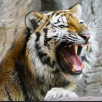 ann_cech2023 - @ann_cech2023 - Instagram