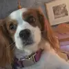 anmariebrown886 - @anndecedeno - TikTok