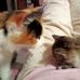 Anna Celio - Facebook