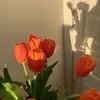caraamell - @annchaa88 - TikTok