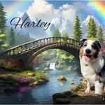 Mary Ann Chabot Caiazza - @marycai8 - Instagram
