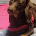 Ann Chadwick - Facebook