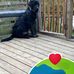 Ann Chadwick - Facebook