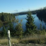 Ann Chadwick - @ann.chadwick.963 - Instagram