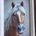 Cindy Ann Chafin - @halflinger.1 - Instagram