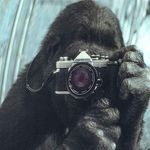 Mary Ann Chafin - @marchant - Instagram