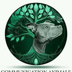 Anne Chic - Facebook