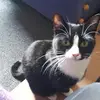 Ann Chalmers878 - @annchalmers878 - TikTok
