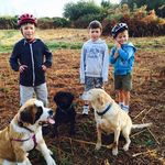 Ann Chamberlain - @jamboandann - Instagram