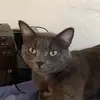 chloe - @chloeannchampion - TikTok