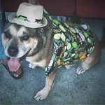 Leslie Ann Champion MacDonald - @championmacdonald - Instagram
