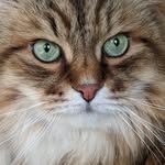Mary Ann Champion Rickert - @championrickert - Instagram