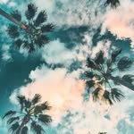 Ryleigh-Ann Champlin - @ryleighannchamplin - Instagram