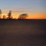 Ann - @annchaney16 - Instagram