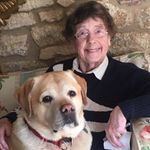 Ann Chapple - @annandbertie - Instagram