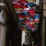 Ann Charland Klenakis - @annklenakis - Instagram