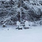 Ann Chartrand - @aq26_42 - Instagram