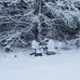 Ann Chartrand - Facebook