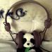 Ann Lee Cho - Facebook
